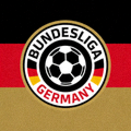 德国足球甲级联赛标志